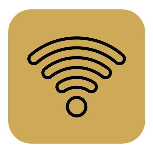 ICON 1
